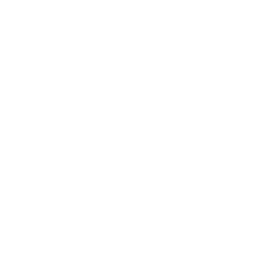 AUTO PARTS ICON